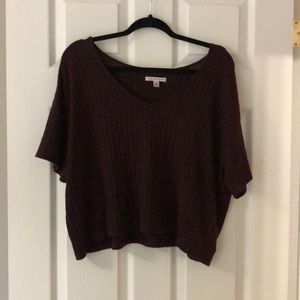 American Eagle Crop Top